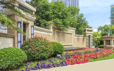 Commercial Landscaping Services: Unleash the Hidden Beauty of Your Outdoor Space